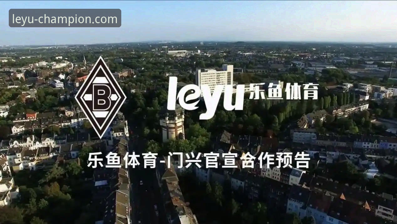 判断乐鱼体育安全与否的7个关键步骤——从技术角度逐一拆解